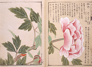 静嘉堂文庫美術館 | 展示作品の紹介 静嘉堂文庫美術館 | 展示作品の紹介