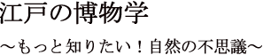 江戸の博物学～もっと知りたい！自然の不思議～