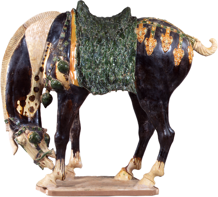 Sancai glazed figure of a horse biting its foot